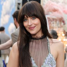 Dakota Johnson attended the Vogue World: Hollywood runway show in semi-sheer Valentino Spring 2026