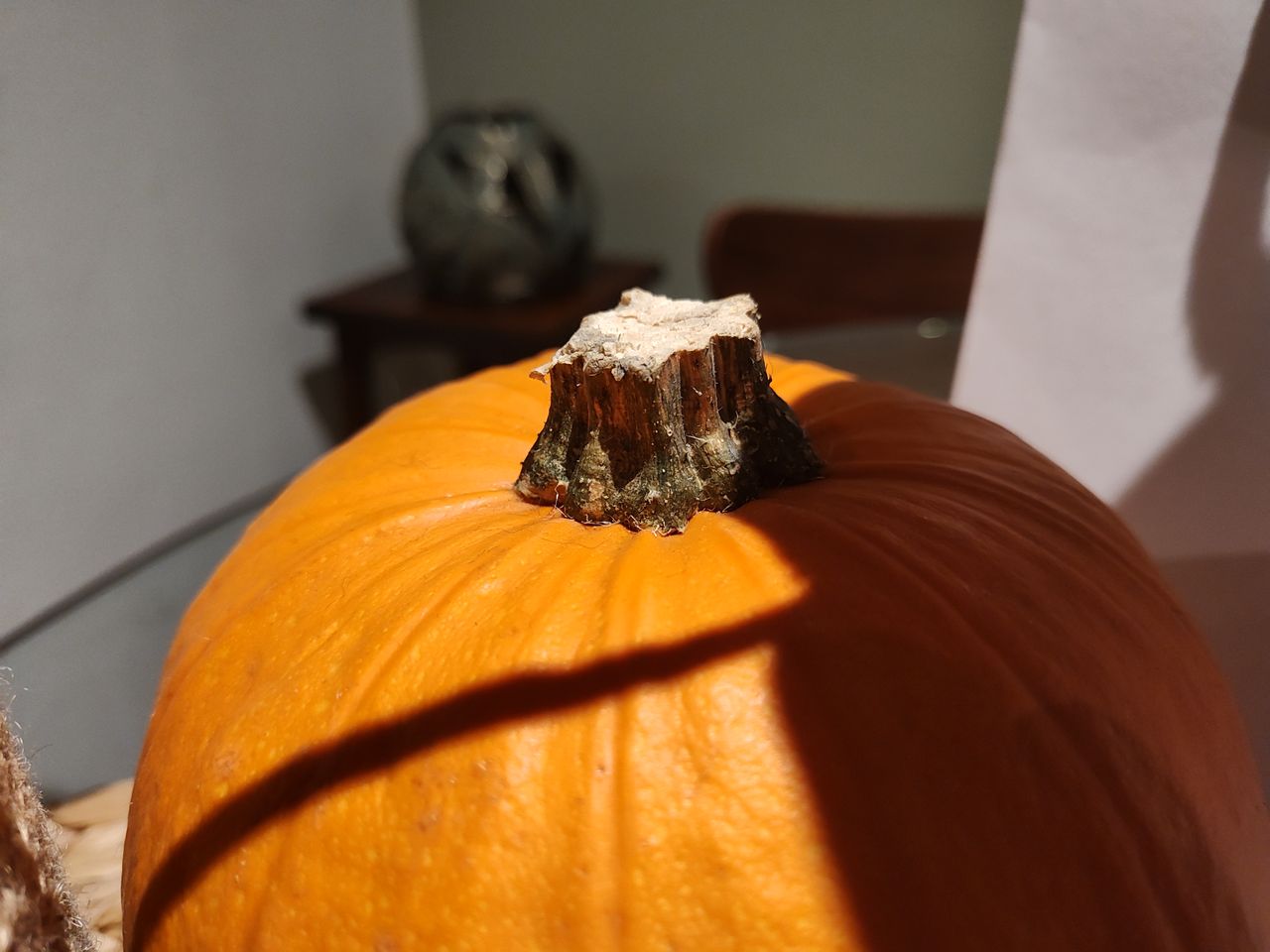 Motorola Razr 2022 camera sample