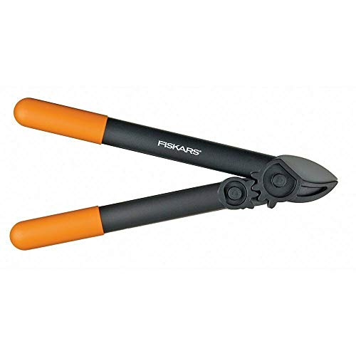 Amazon.com : Fiskars 15-Inch Powergear Loppers, Sharp Steel Blade Bush and Tree Trimmer, Cuts Up to 1.25-Inch Diameter Branches, Rust Resistant and Lightweight Pruner, Yard Tools for Gardening : Hand Loppers : Patio, Lawn & Garden