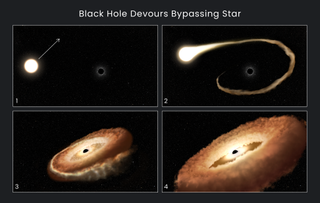 This sequence of artist's illustrations shows how a black hole can devour a bypassing star.