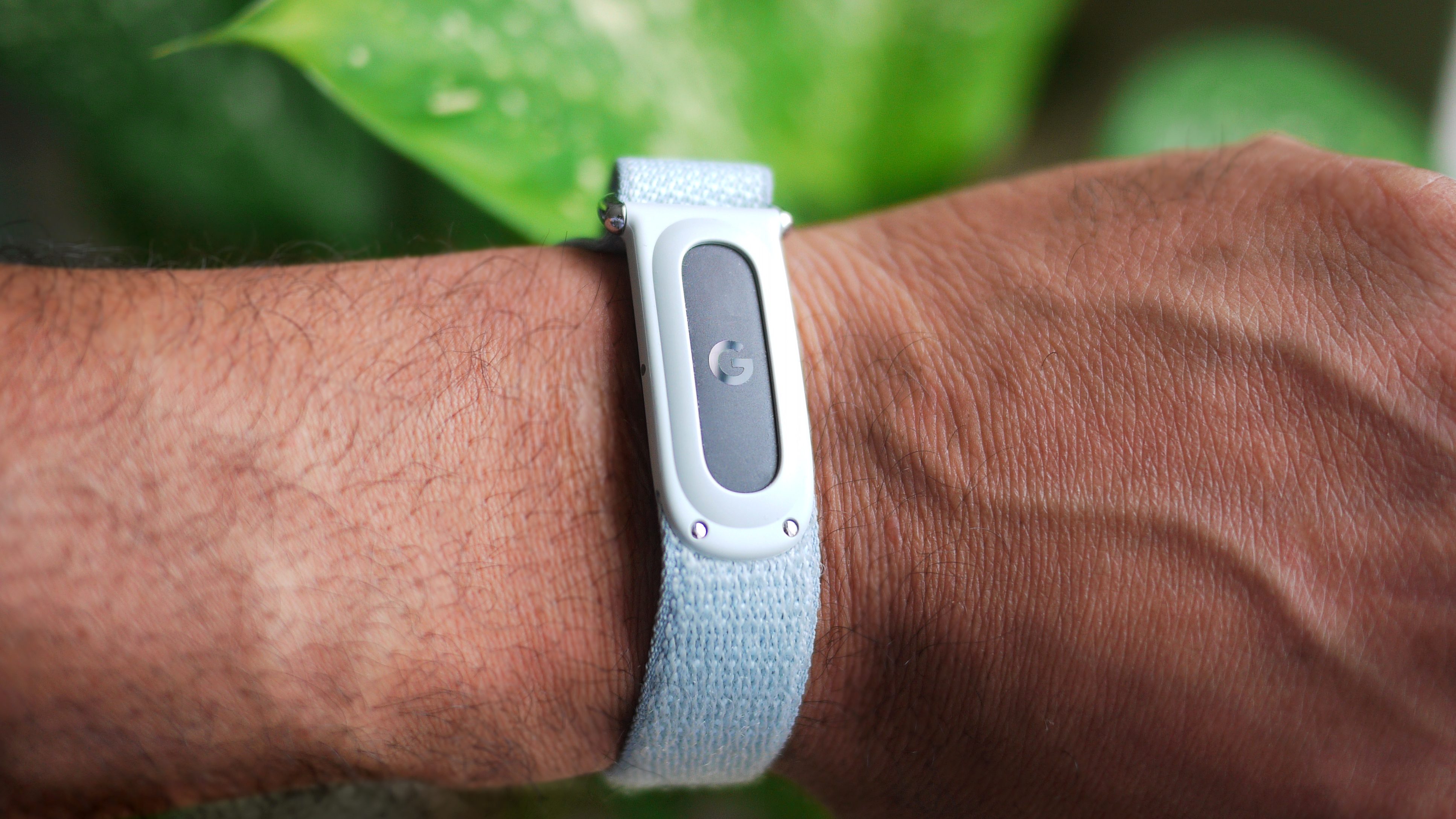 Google Fitbit Air