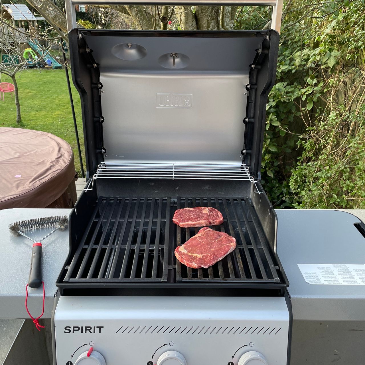cooking steaks on Weber spirit e310 bbq in garden