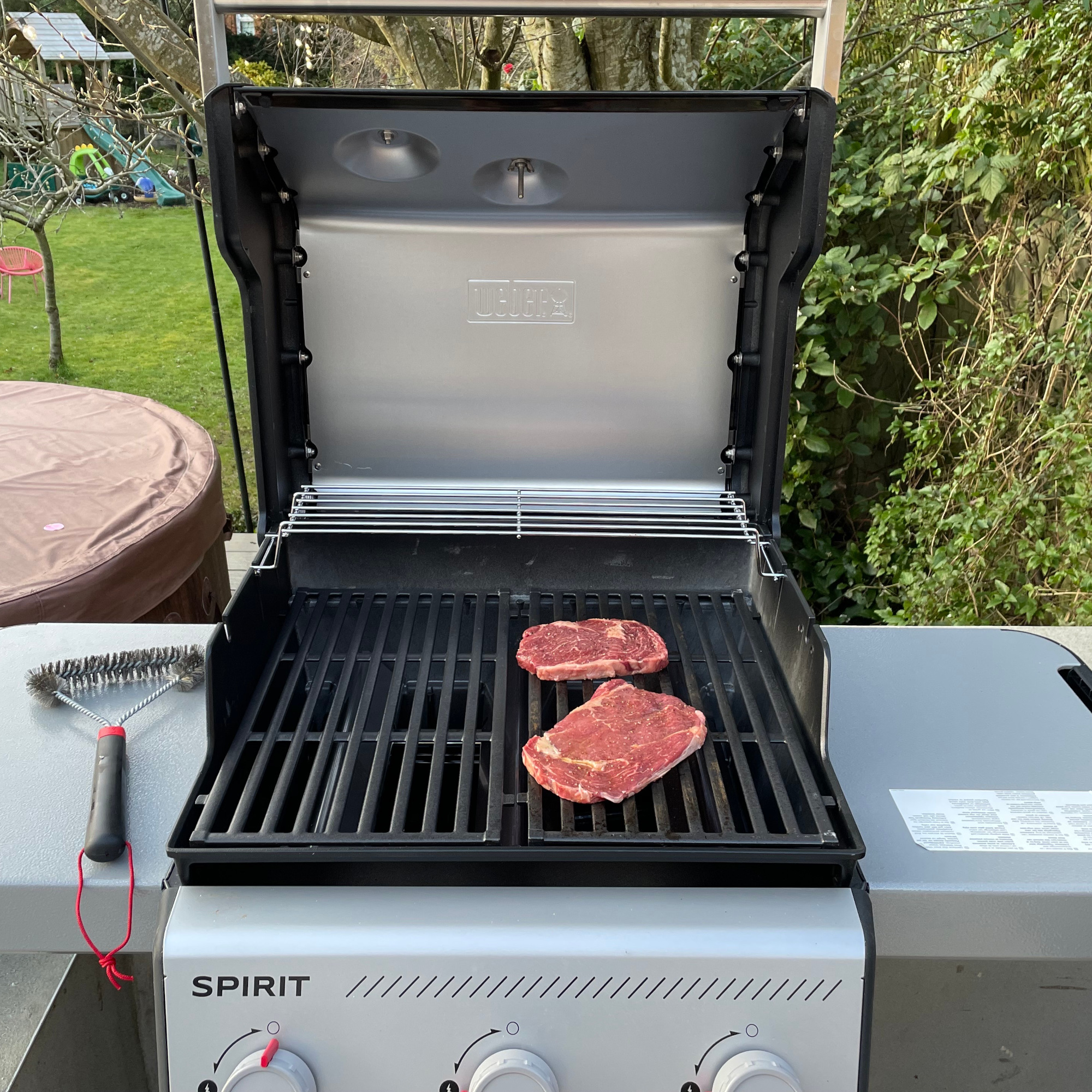 cooking steaks on Weber spirit e310 bbq in garden