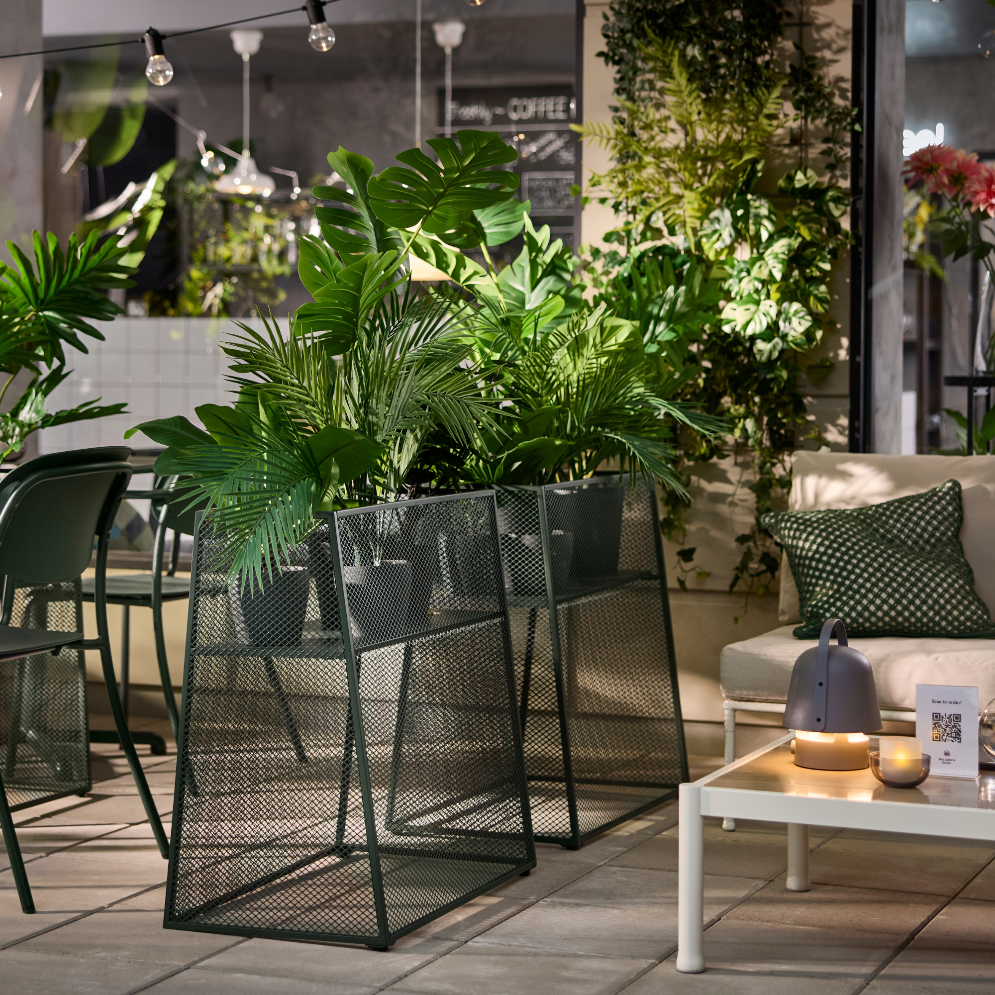 Two IKEA plant stands, each holding three glossy-leaved plants on a patio.