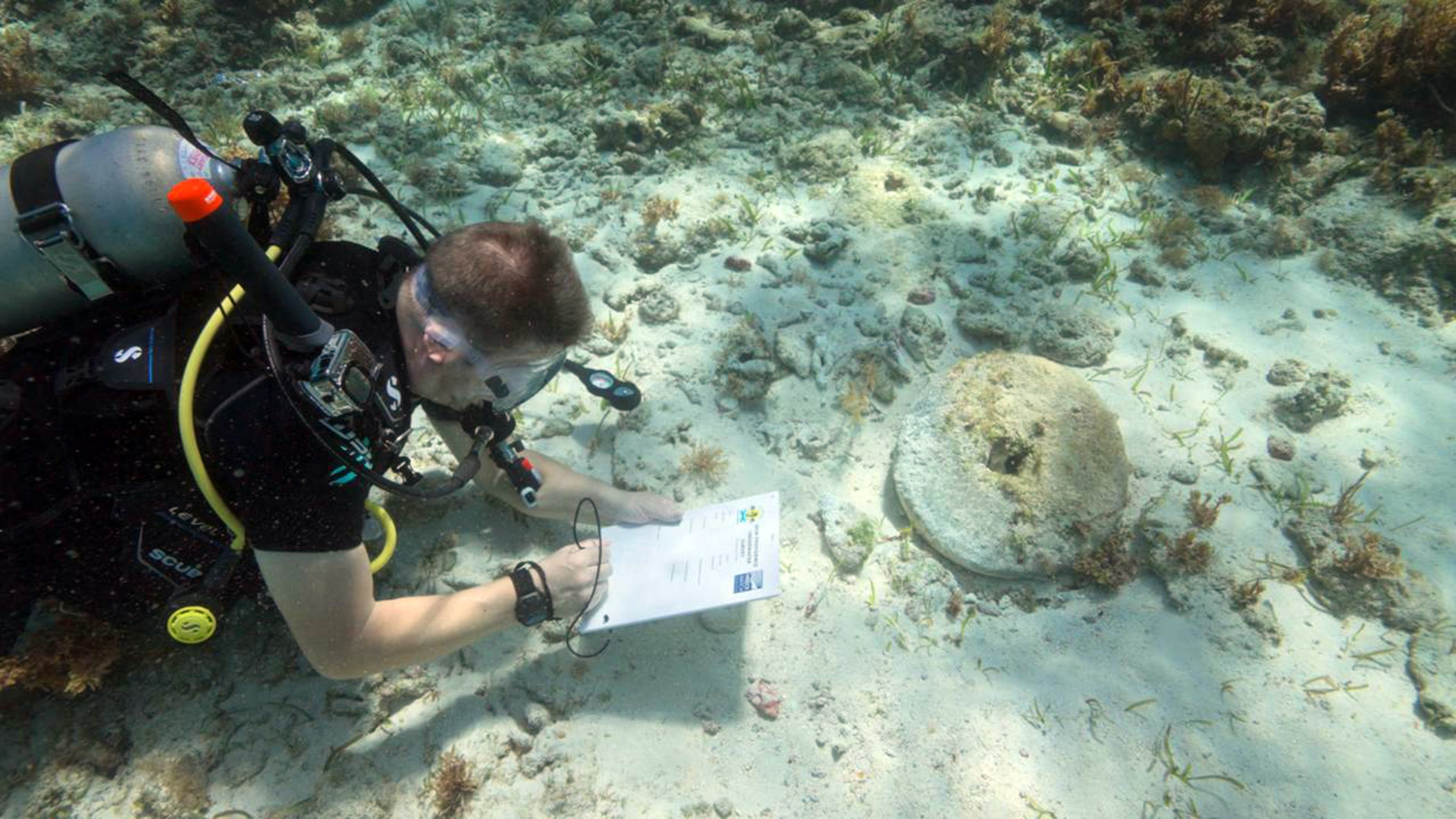 A diver writes on a white pad next to a circular stone sitting on a sandy sea floor.