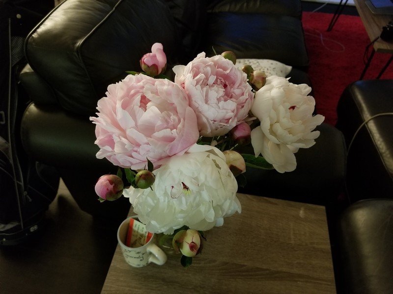 Galaxy S8 camera sample