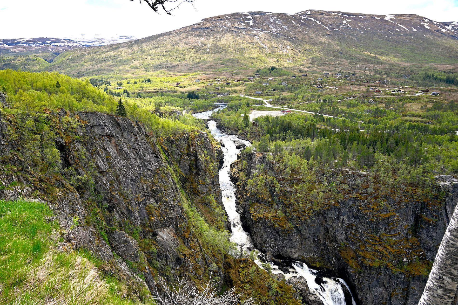 GuruShots - March 2026