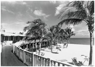 Black and white photograph of a curved walkway with palm trees