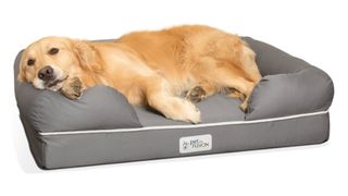 Best dog bed mattress: Pet Fusion Ultimate Pet Bed