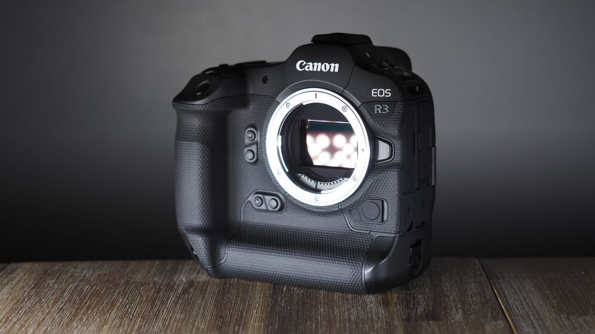 Need the Canon EOS R3? Properly, good luck!