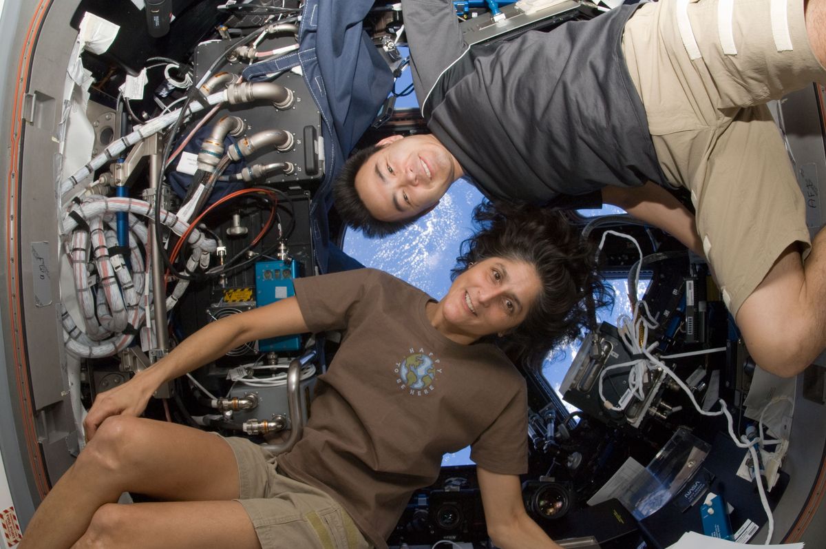 New Study Examines Why Astronauts Grow Taller in Space Space