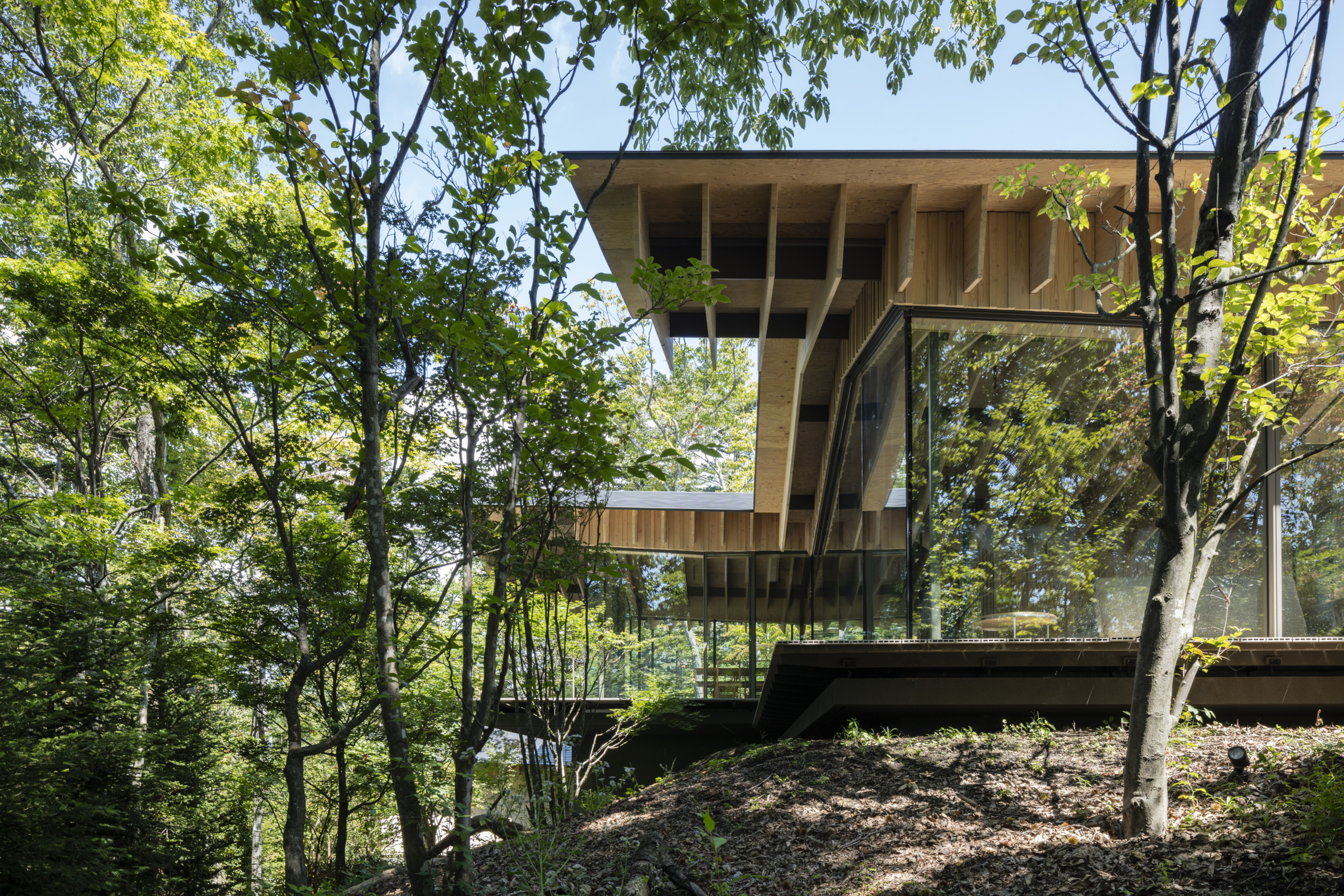 Views of Wild Bird Forest Lodge