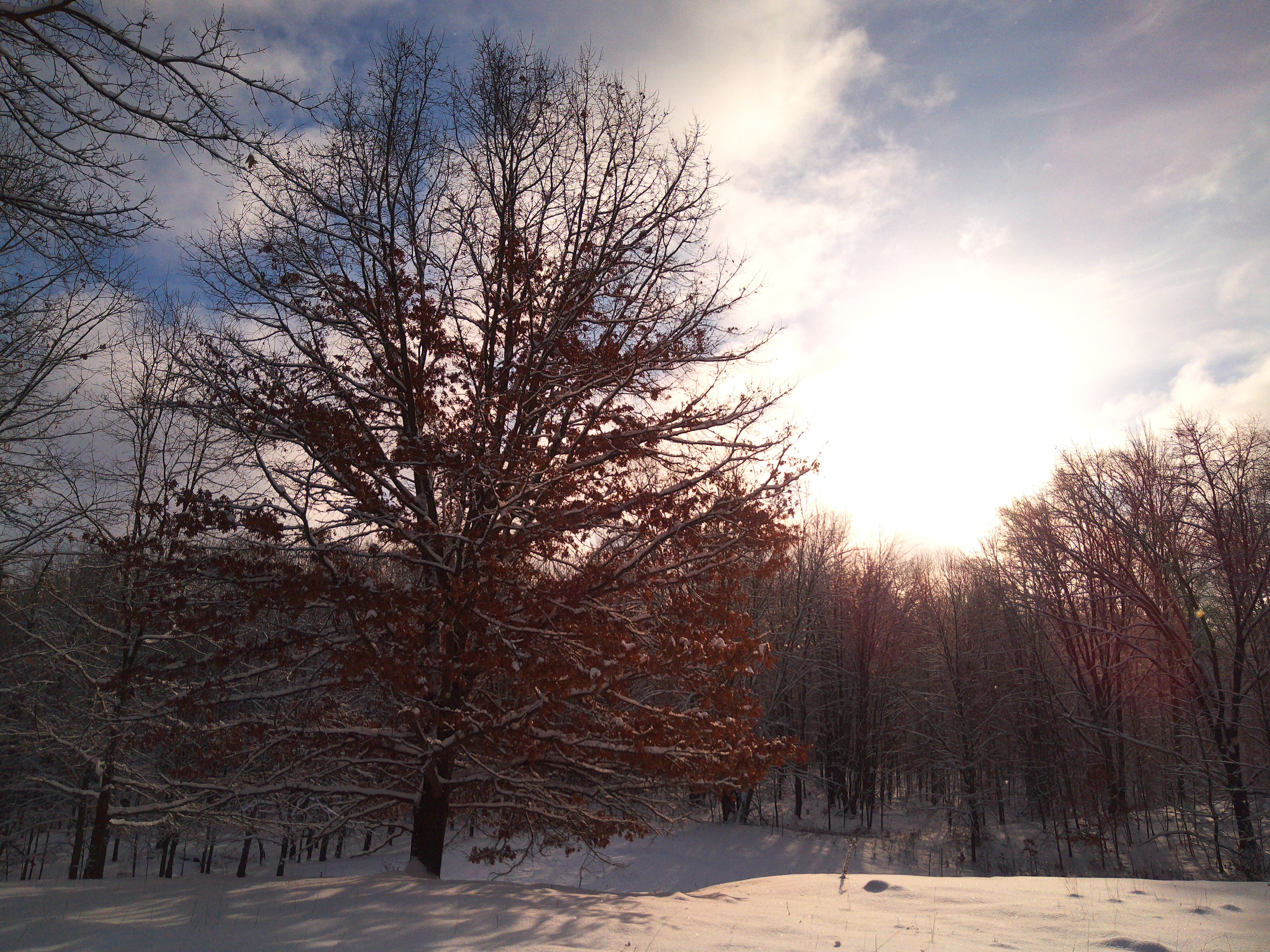 A sample image taken with the Camp Snap CS-Pro