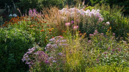 hack to hide a fence grasses