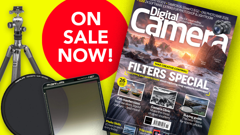 Front cover of issue 313 (November 2026) of Digital Camera World magazine and a red blob that reads 'On sale now!