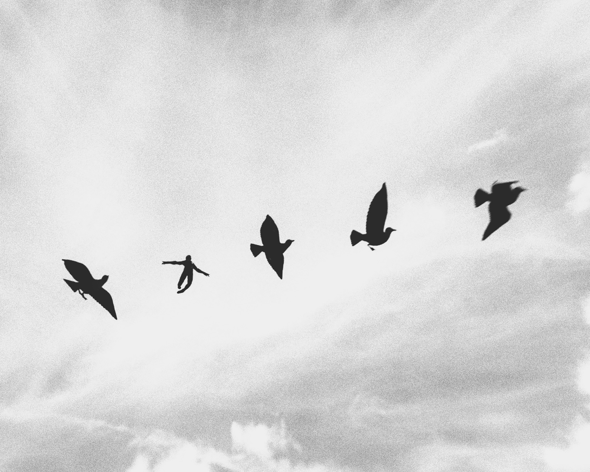 The Virtual Photography Awards for 2025