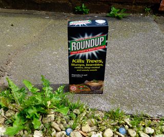 A packet of roundup Tree Stump and Root Killer Herbicide on a pavement