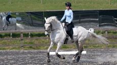 Sheriff-Canter.jpg