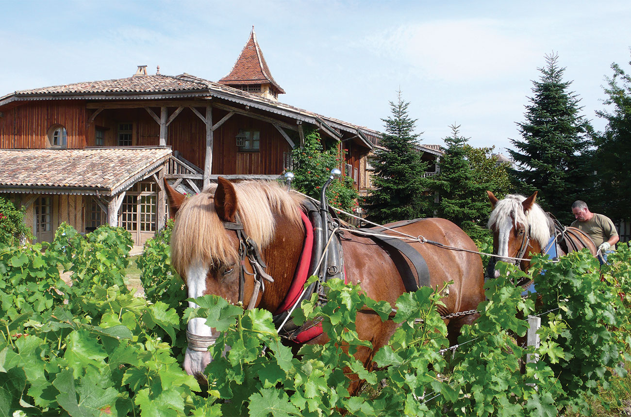 Ch&acirc;teau Smith Haut Lafitte