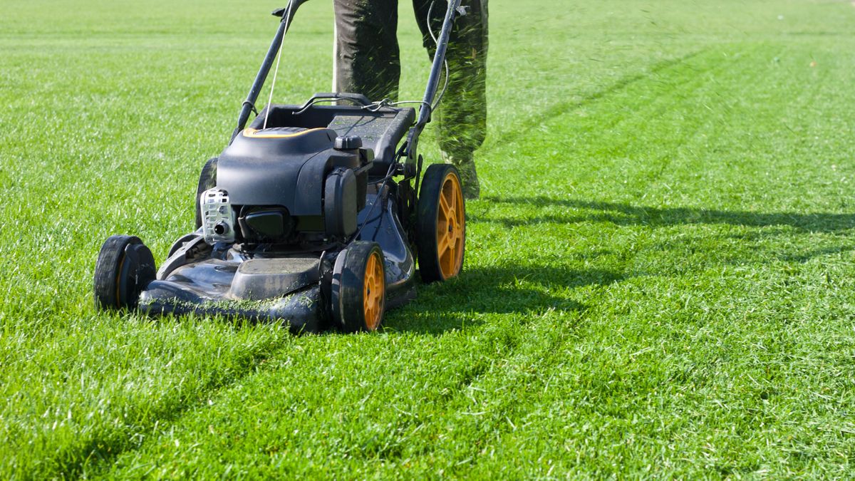 The ultimate lawn care guide — essential tips and tricks for getting the perfect lawn