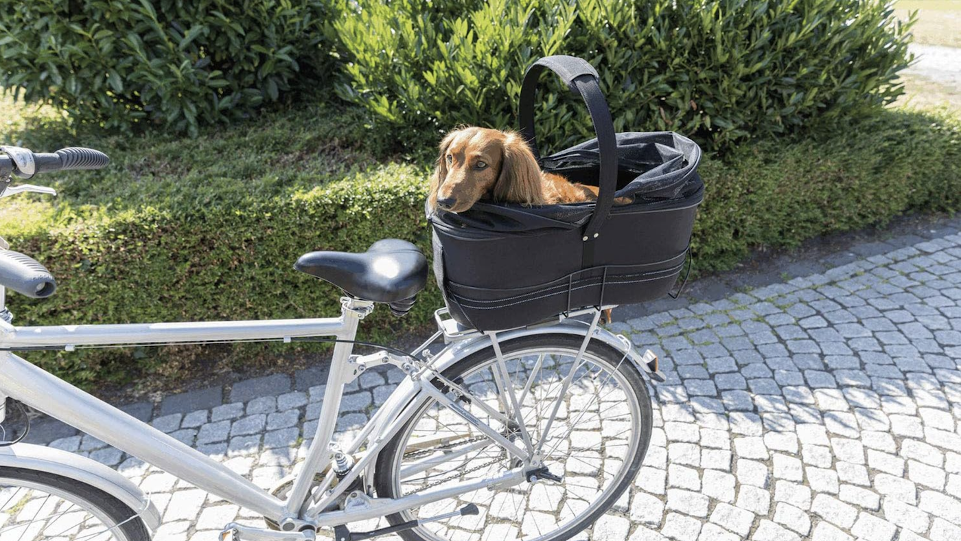 Best dog carriers for bikes: a basket on the bike rack at the back