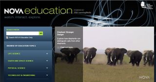 Screenshot of Nova Education showing story about elephants.
