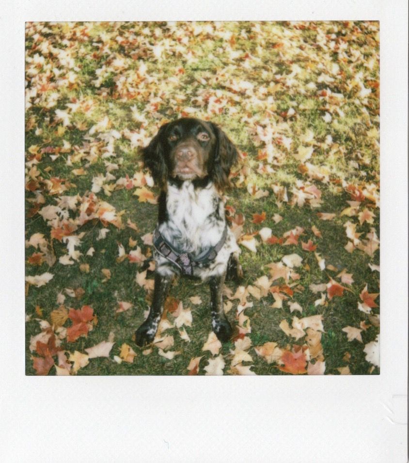 Image samples from the Fujifilm Instax Square 2