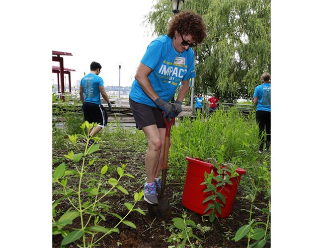 Impact-Day-NYC-Employee.jpg