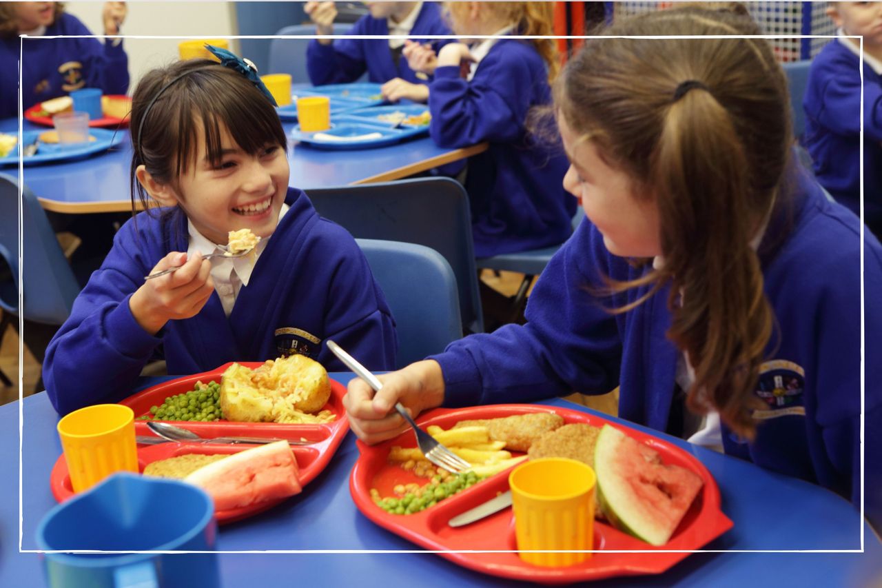 children eating lunch at school