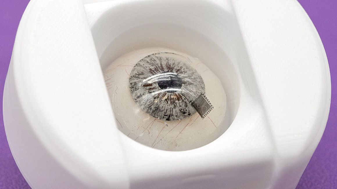 tomsguide.com - Dan Bracaglia - An 'iPhone moment' for your eyes - why Xpanceo is betting big on smart contact lenses as the future of AR