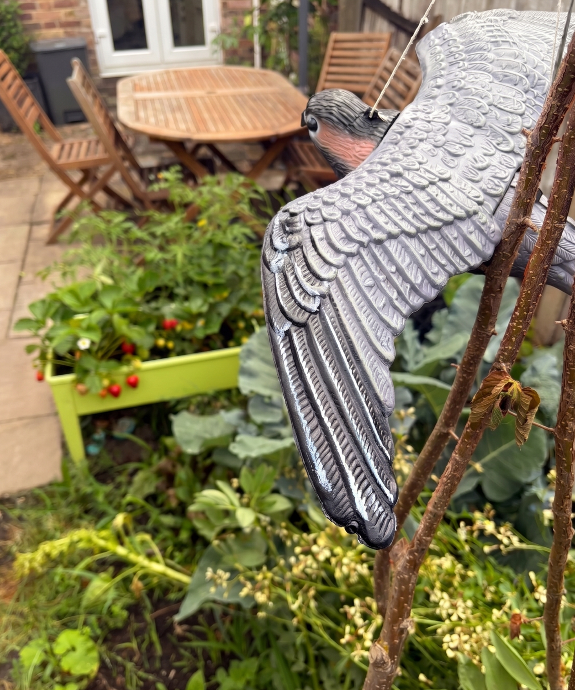 A predator decoy suspended above a small vegetable garden; a raised bed with strawberries is visible in the background