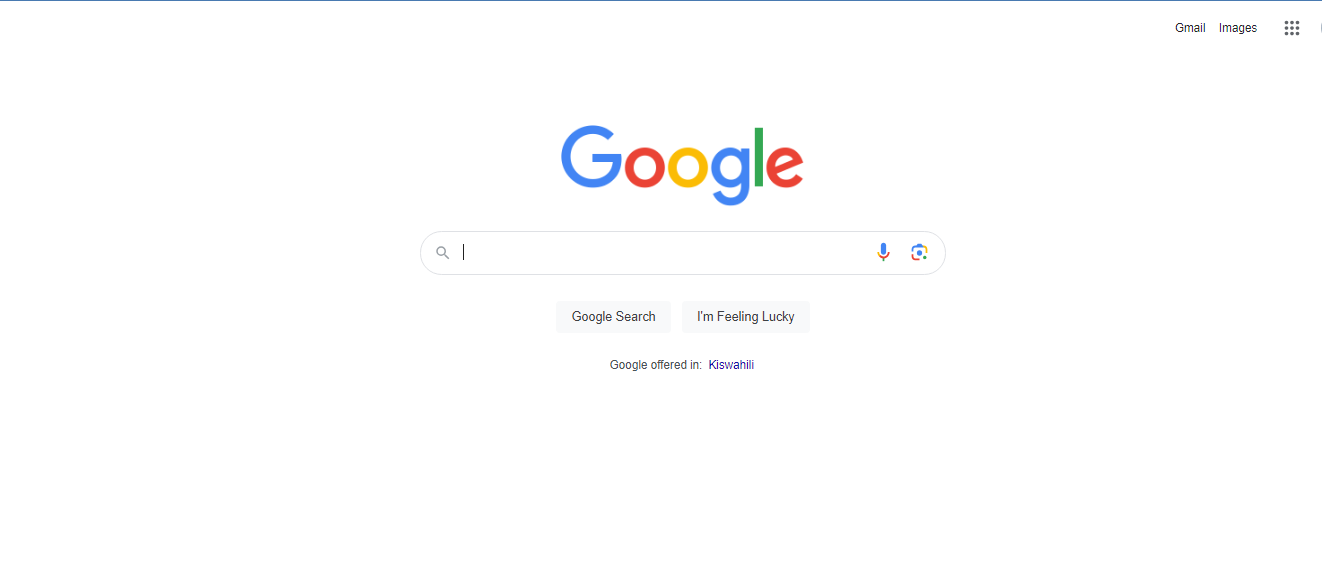 Website screenshot for Google
