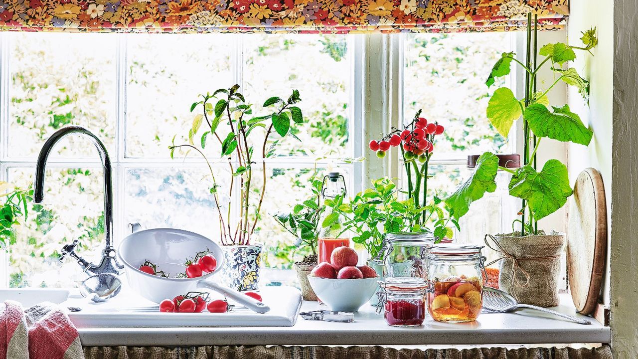 Fruits laid out on top of kitchen sink countertop and windowsill