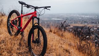 Hard tail mountain bike on a hillside
