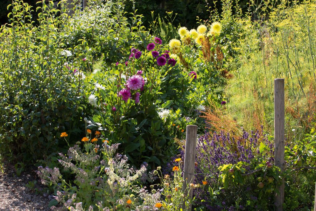 How to start a cut flower garden from the best floral picks to care