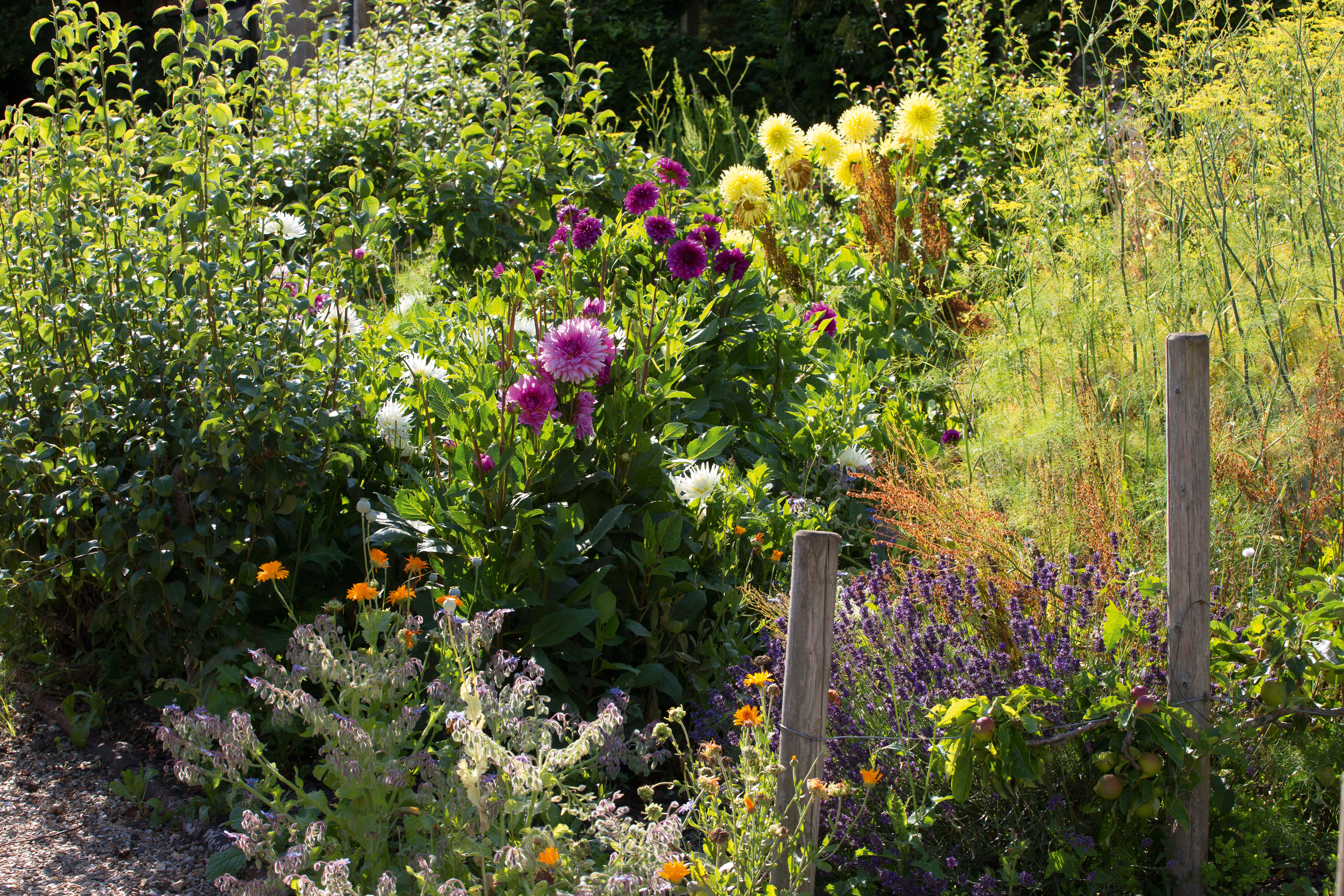 cutting garden