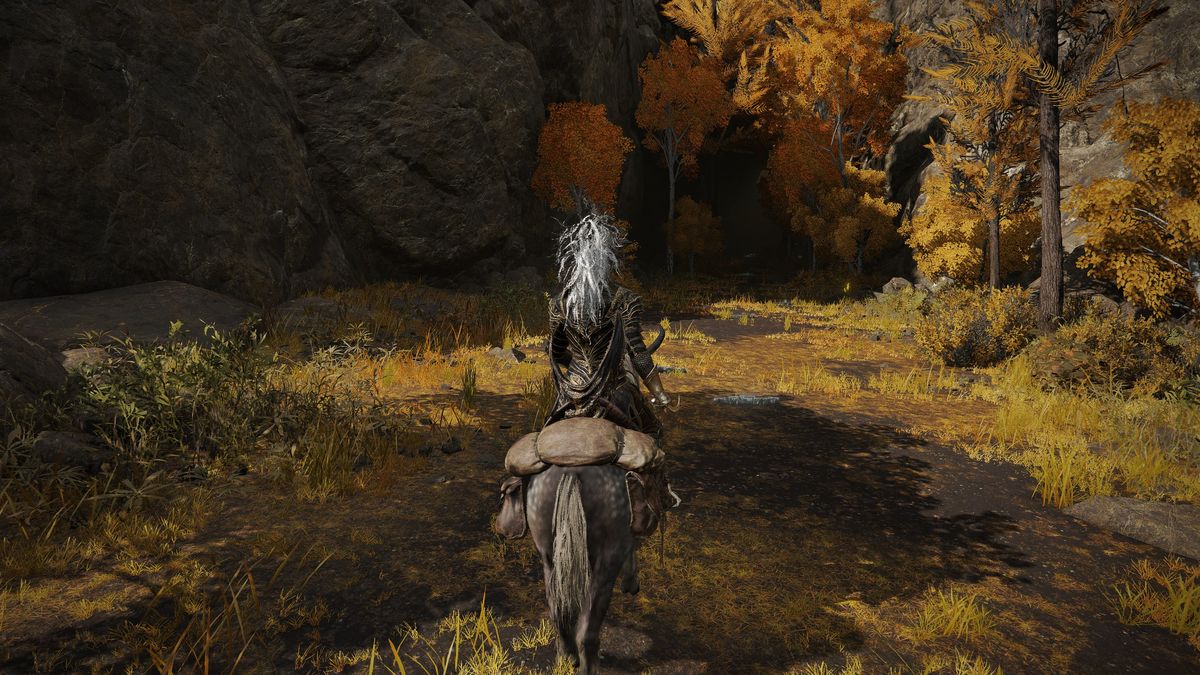 Elden Ring Seluvis