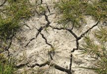dry-cracked-ground-hr.jpg