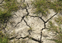 dry-cracked-ground-hr.jpg