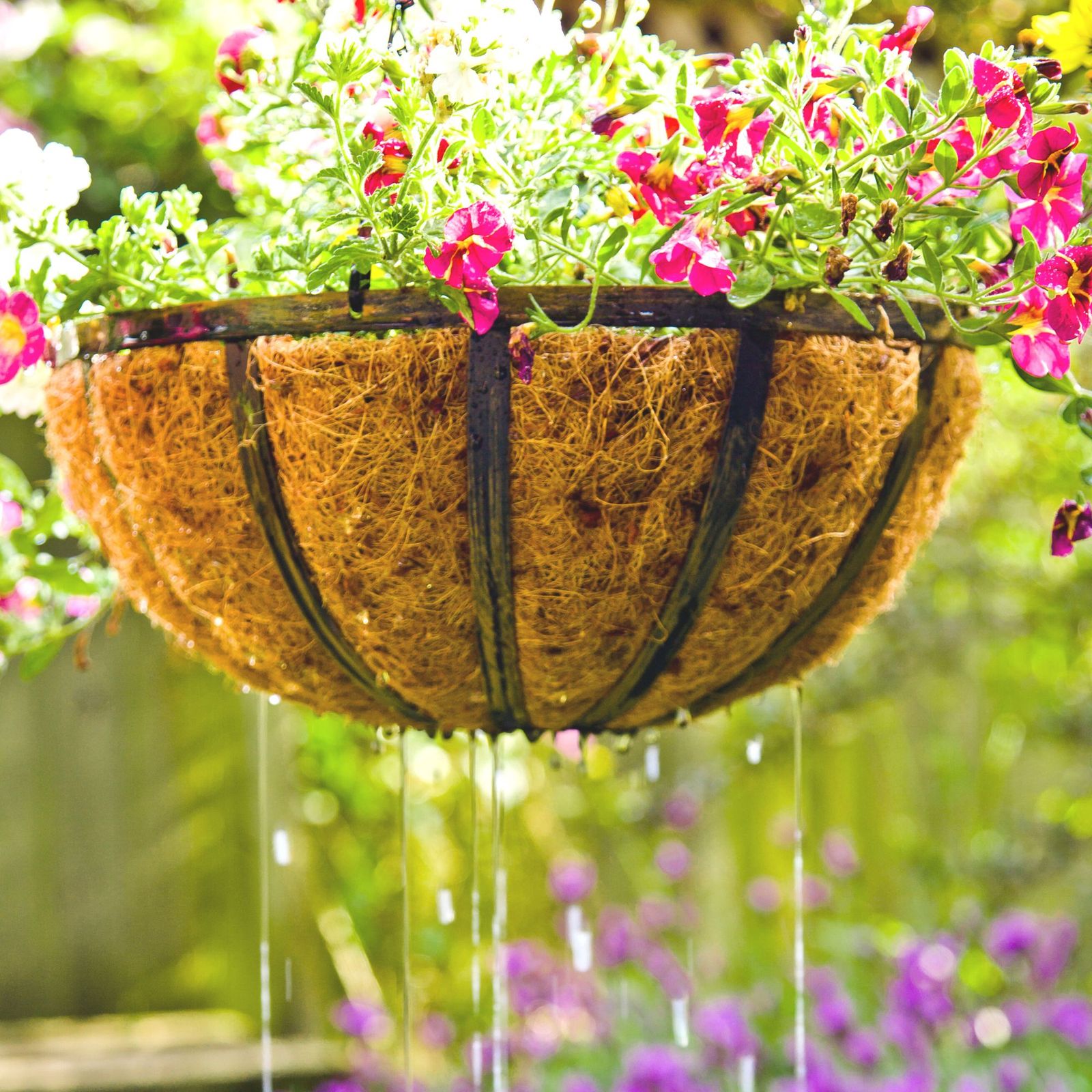 How To Plant A Hanging Basket An Easy Guide Ideal Home 