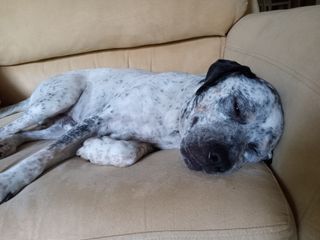 Moto G Pure Camera Samples