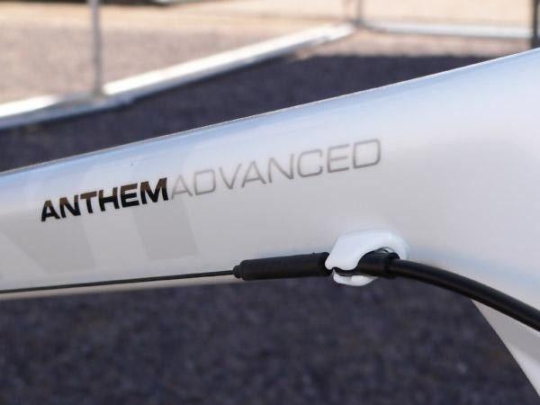 Like many Shimano-sponsored riders