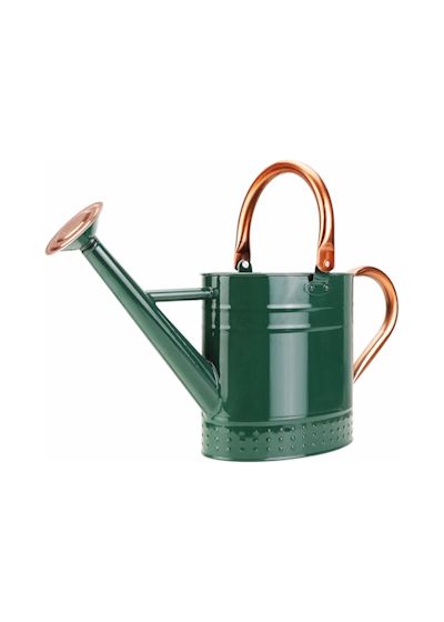 Metal Watering Can With Removable Spout
