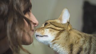 Cat sniffs woman's face