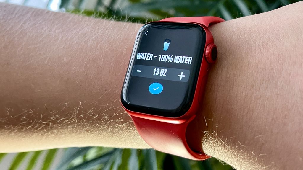 version 1 apple watch