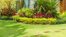 A house with a green, lush front lawn and tropical planting
