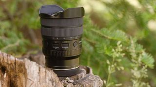 The Tamron 12-20mm f/2.8 photographed outdoors