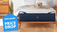Our experts expect this year's Memorial Day mattress sales to feature discounts from DreamCloud, including the DreamCloud Hybrid Mattress, shown here on a light wooden bedframe with a blue price drop deals badge overlaid on the image