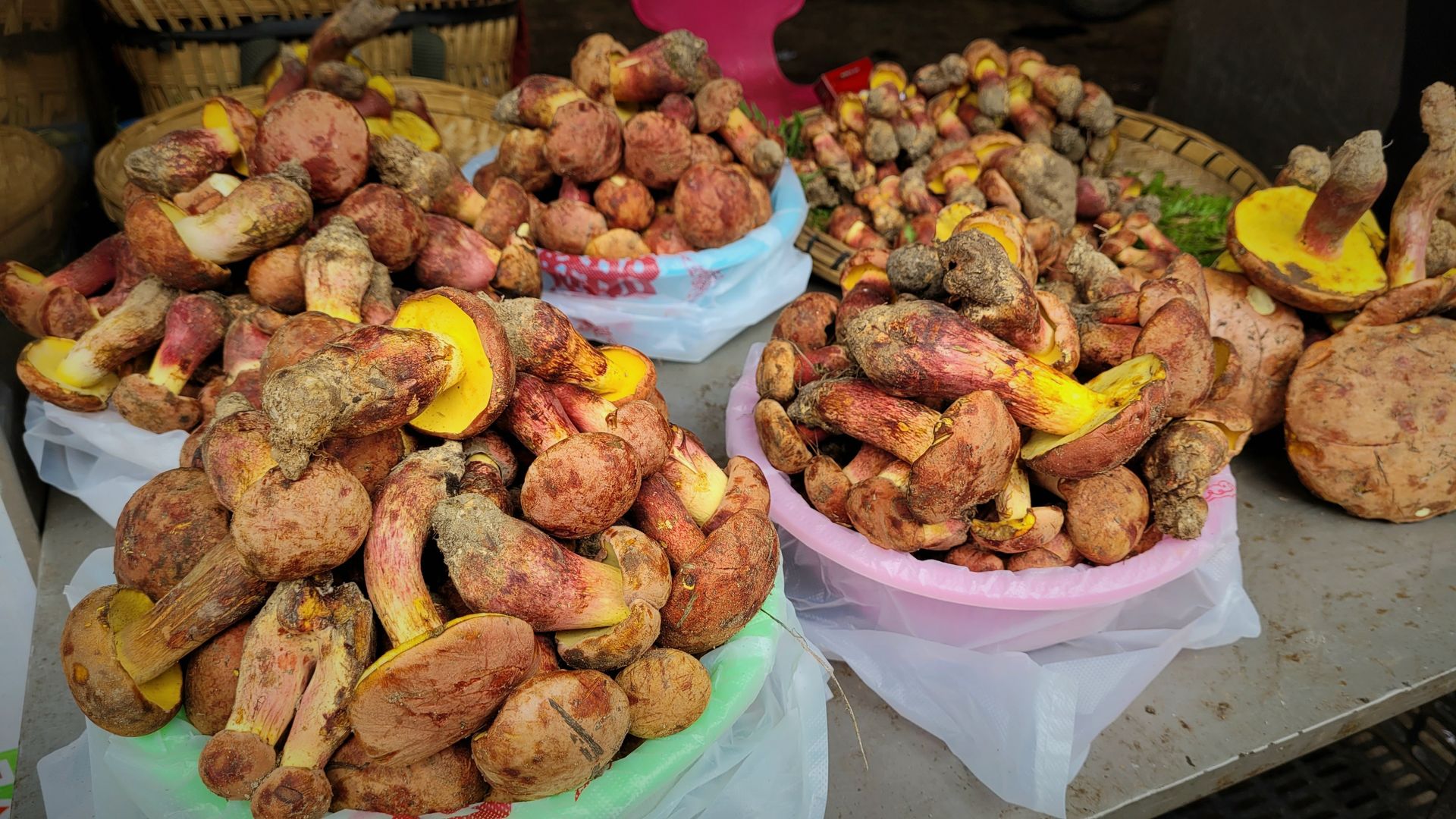 Piles of mushrooms sit inside brightly-colored bowls.