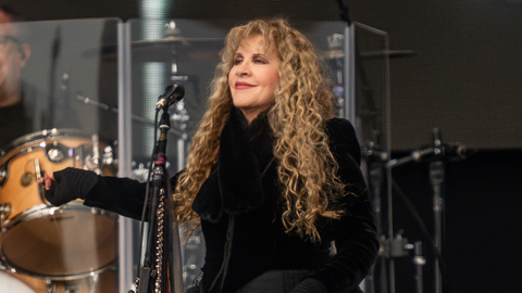 Stevie Nicks